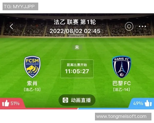 索肖与欧塞尔比赛延期的原因分析及对球队影响探讨